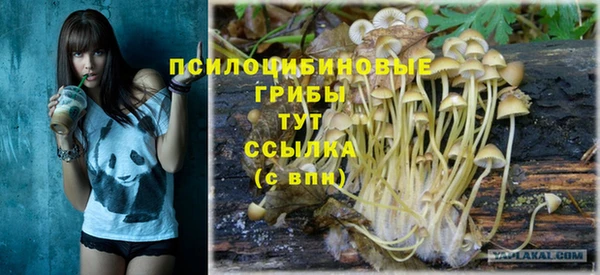бутират Новозыбков