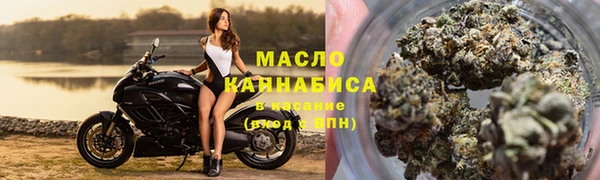 соль ск Новодвинск