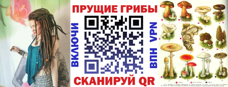 Галлюциногенные грибы мицелий Прокопьевск