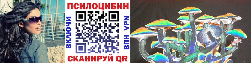 Псилоцибиновые грибы Psilocybine cubensis  Прокопьевск 