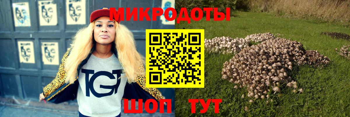 Галлюциногенные грибы мухоморы  Галлюциногенные грибы GOLDEN TEACHER  Прокопьевск  Вход с VPN 
