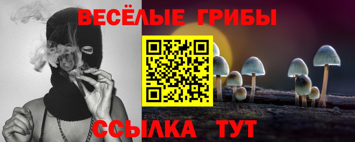 Псилоцибиновые грибы мухоморы Прокопьевск